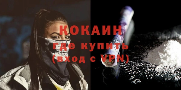 тгк Нея