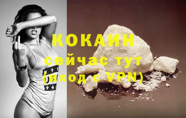 тгк Нея