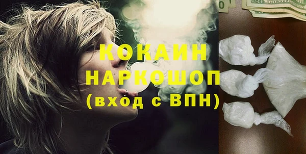 тгк Нея