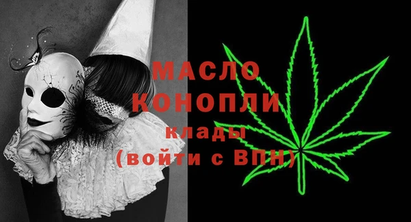 тгк Нея