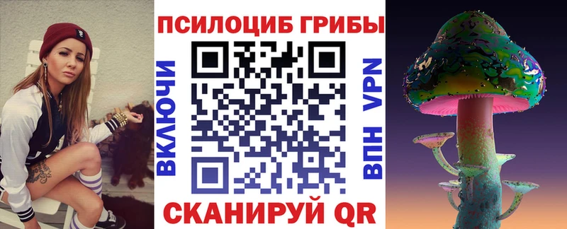 как найти   Павловский Посад  Галлюциногенные грибы мухоморы 