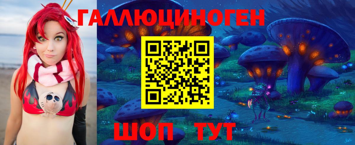 Павловский Посад  Псилоцибиновые грибы GOLDEN TEACHER  Вход с VPN 