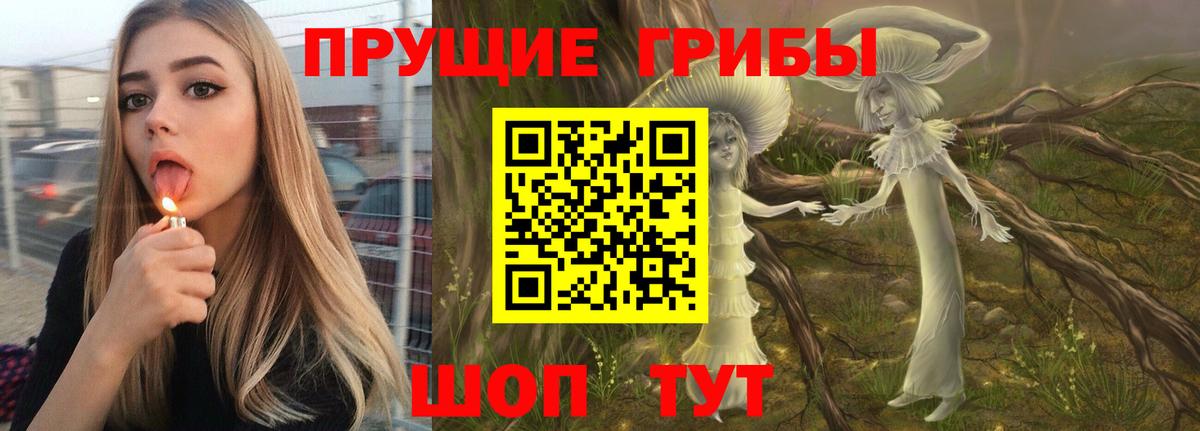 Галлюциногенные грибы мухоморы Павловский Посад